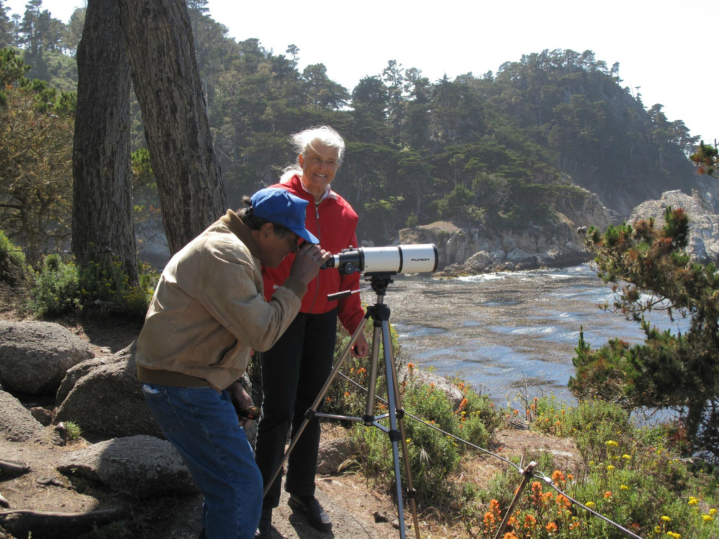 Image about Spotting for California sea otters at Cannery Point
