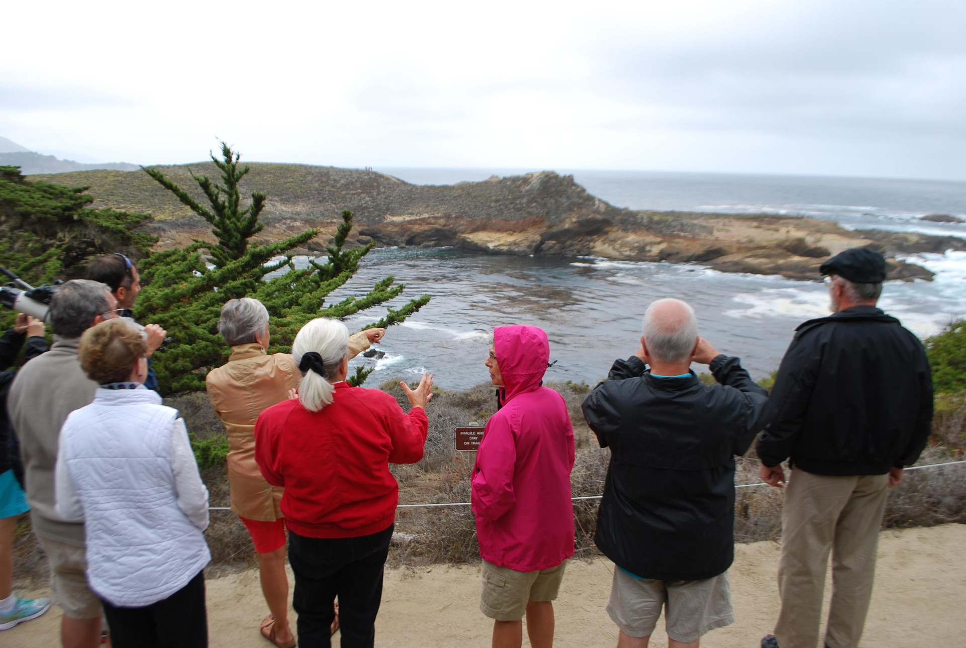 Image about "Point Lobos" Traveler photo submitted by MandM B (Nov 2014)