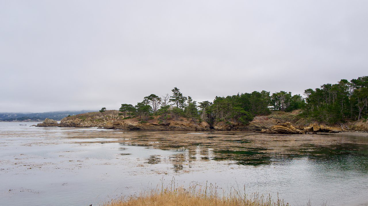 Image about Monica/California Legacy Tours is a Treasure! Traveler photo submitted by R2CRML (Aug 2019)
