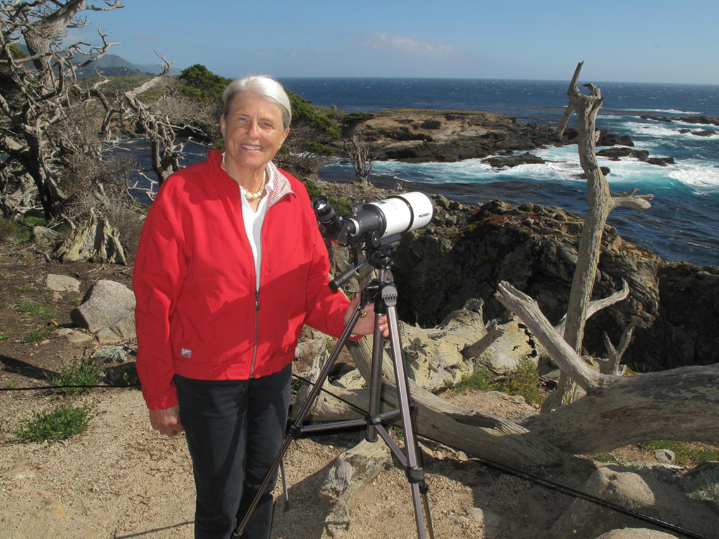 Image about Overlooking Sea Lion Point from the Cypress Grove trail