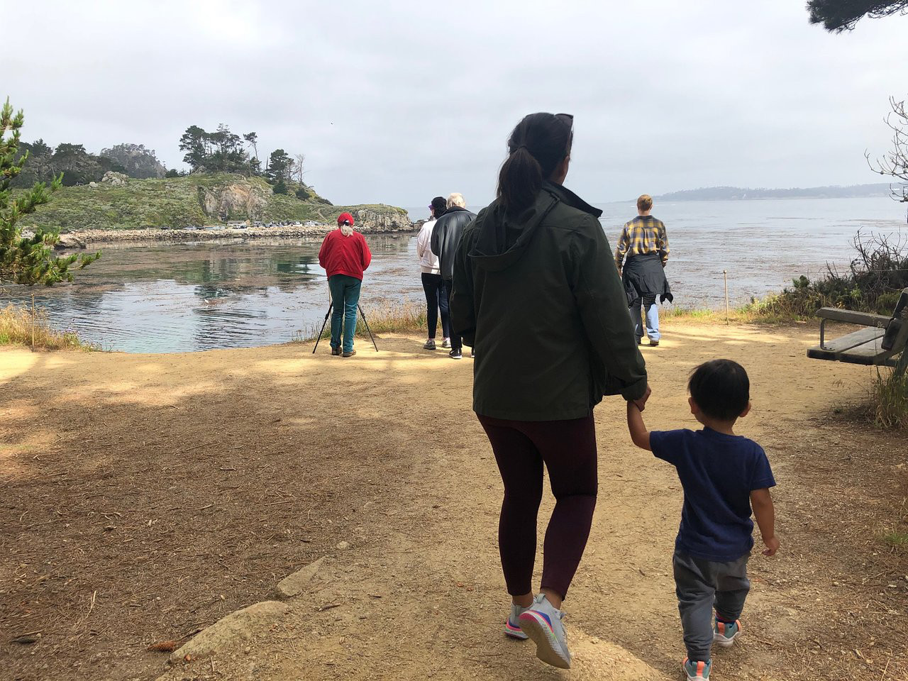 Image about "looking for sea otters!" Traveler photo submitted by jhallare (Jun 2019)