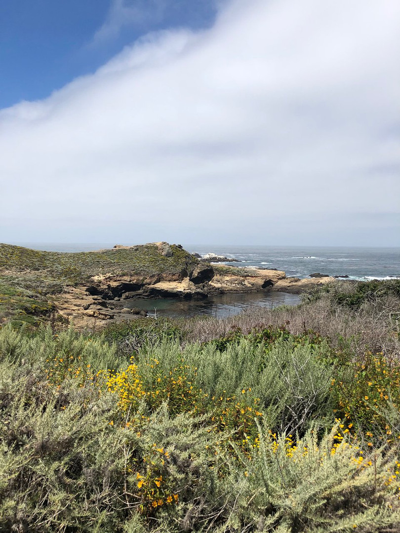Image about "more gorgeous views" Traveler photo submitted by jhallare (Jun 2019)