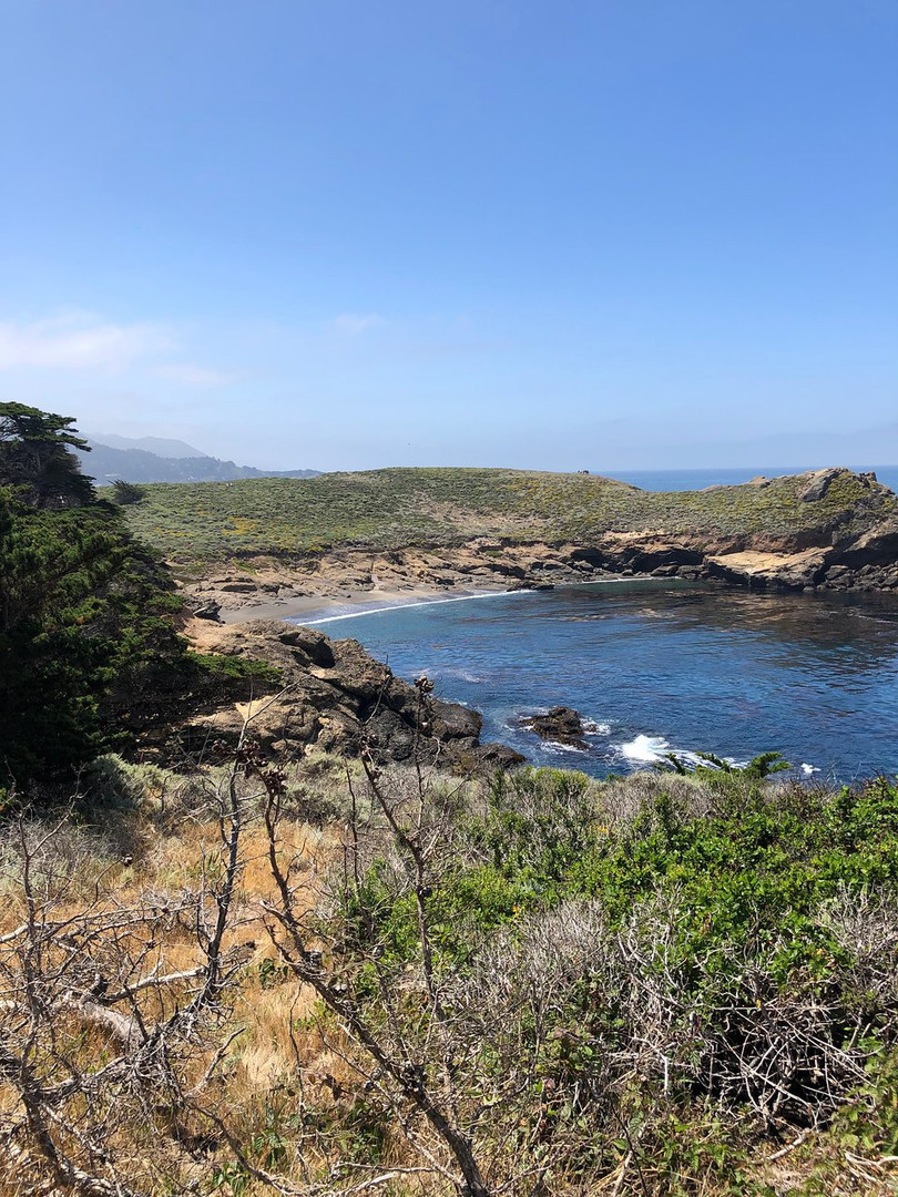 Image about "whalers cove" Traveler photo submitted by jhallare (Jun 2019)